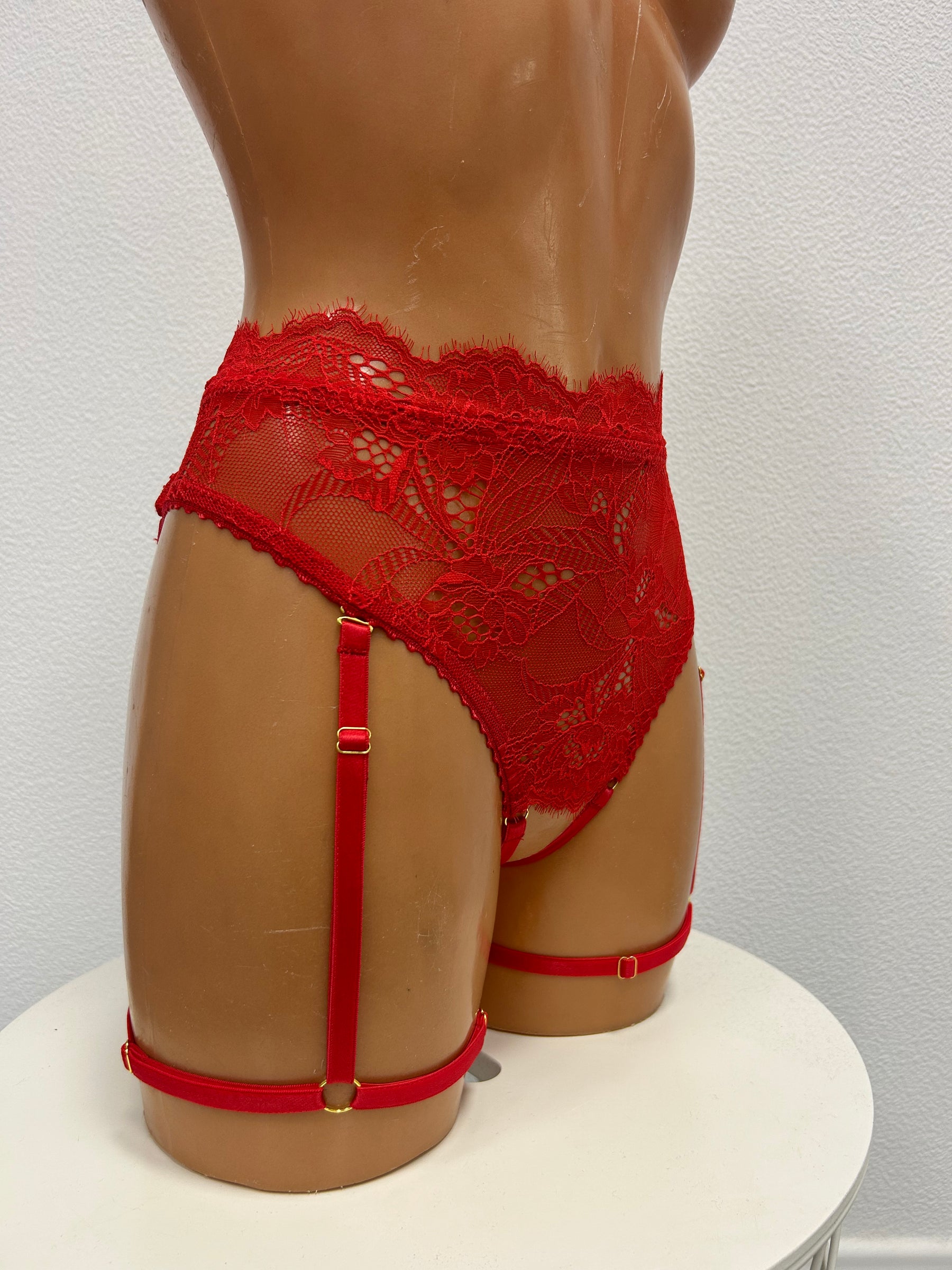 "Sinful"  lingerie panties with garter