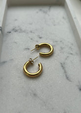 Eternal Elegance Gold Plated Hoop Earrings
